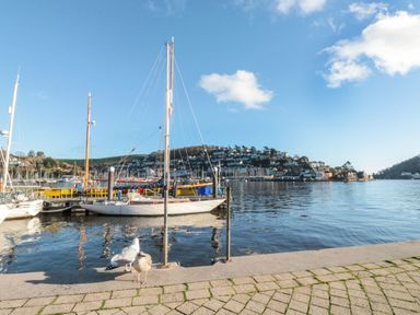 A waterfront with boats docked and seagulls on the pavement at The Bolthole in Dartmouth