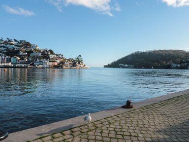 A waterfront view with houses on a hillside across the water and a bird on a paved area at The Bolthole in Dartmouth