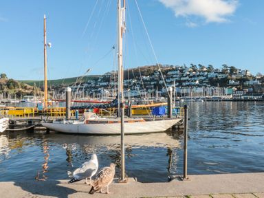 A sailboat docked at a marina with two seagulls on the dock and houses on a hill in the background at The Bolthole in Dartmouth