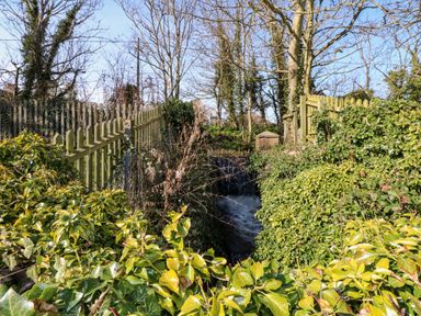 A small stream flowing between green bushes with wooden fences and leafless trees at 11 The Dell in Mundesley