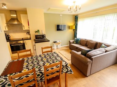 An open plan living room and kitchen with a dining table wooden chairs and patterned tablecloth a brown sofa with cushions wall mounted TV and microwave at 11 The Dell in Mundesley