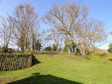 A grassy hillside with leafless trees and a wooden fence under a clear blue sky at 12 The Dell in Mundesley
