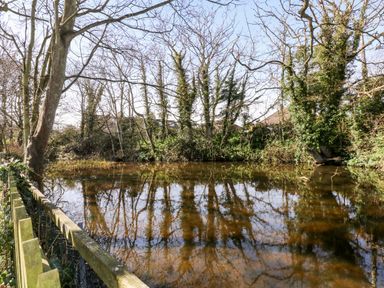 A pond surrounded by trees and bushes with a wooden fence on the left at 12 The Dell in Mundesley