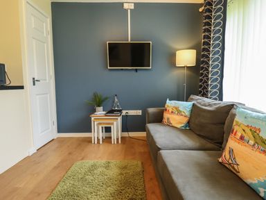 A living room with a gray sofa with printed cushions a green rug a floor lamp a wall-mounted TV and a set of nesting tables with a plant at 12 The Dell in Mundesley