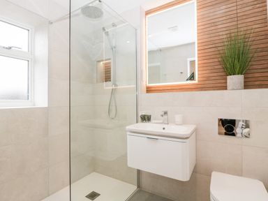 A bathroom with a glass shower enclosure a wall-mounted sink a mirror and a potted plant at Bilsham Meadows in Aust