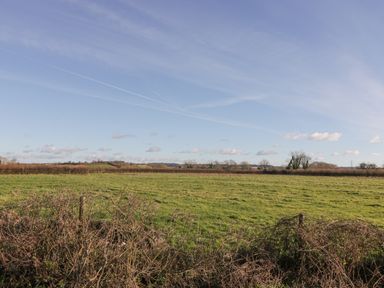 A grassy field with bushes in the foreground and trees in the distance under a blue sky at Bilsham Meadows in Aust