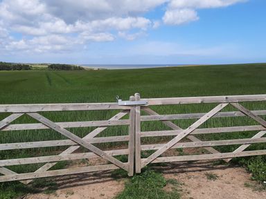 A wooden gate opening to a green field with trees and sea in the background at Timbers in Weybourne