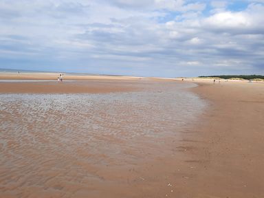 A sandy beach with shallow water and people walking near the sea at Timbers in Weybourne