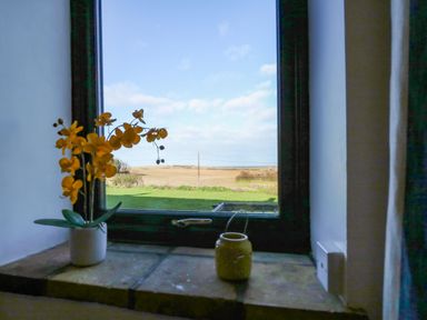 A window with flowers and a small lantern on the sill overlooking fields and a partly cloudy sky at Timbers in Weybourne