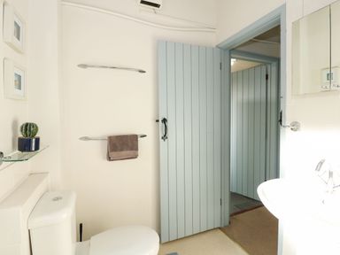 A bathroom with a toilet a sink two picture frames a glass shelf with a cactus two towel rails and a blue door at Timbers in Weybourne