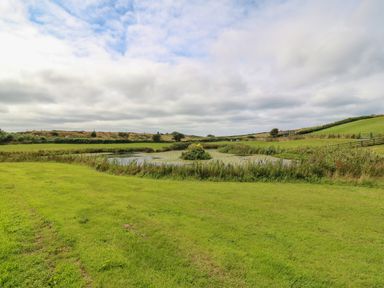 A grassy field with a pond surrounded by plants and hills in the background at Refail Fach Near Cemaes Bay