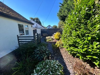 A garden pathway with plants on both sides next to a white house with a wooden fence and a bench at Ty Nain in Llanfairpwllgwyngyll