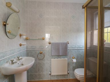 A bathroom with a sink mirror towel holder radiator toilet and shower at Bolger House in Ballintubbrid near Kilmuckridge County Wexford