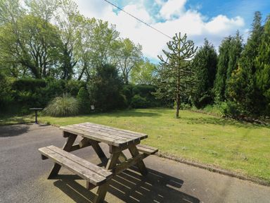 A wooden picnic table on a paved area next to a lawn with a tree and bushes at Bolger House in Ballintubbrid near Kilmuckridge County Wexford