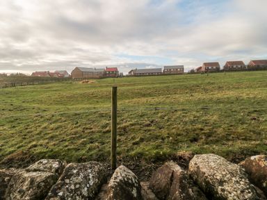 A grassy field with stone wall and fence post with houses in the background at 22 Longstone Park in Beadnell