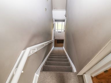 A carpeted staircase with a white handrail leading down to a white front door at Sea Mouse Cottage in Southwold