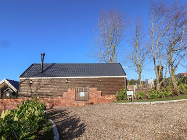 A small wooden building with a black roof and chimney surrounded by bushes and trees at Foxes Den in Seamer North Yorkshire