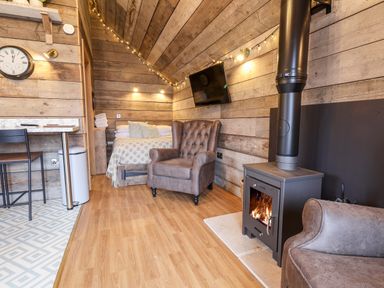 A small wooden room with a bed a leather armchair a wood burning stove and a wall mounted TV at Sunset Retreat in Seamer North Yorkshire