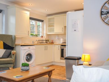 A kitchen area with white cabinets, a washing machine, a refrigerator, a trash bin, a wooden coffee table with coasters and a small plant, an armchair with cushions, and a side lamp at 1 Bethany Court in Bodmin