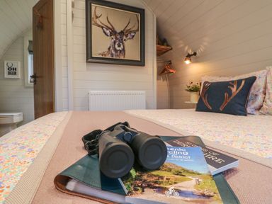 A bedroom with a bed pillow with antler design binoculars and books on the bed in a room at Oh Deer in Ashbourne