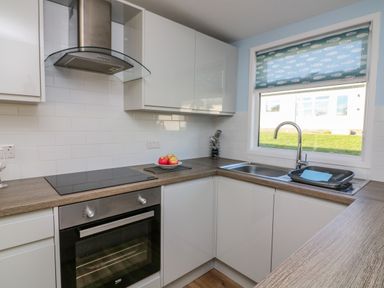 A kitchen with a stove oven sink utensils apples on the counter and a window with a fish patterned blind at Beachcomber in Norton Park near Dartmouth
