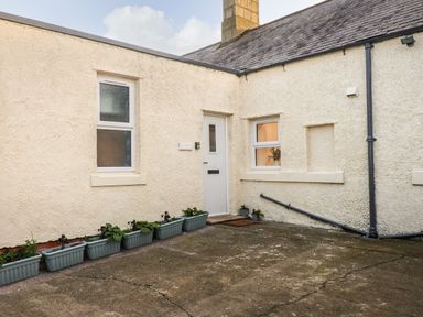 An exterior courtyard with cream walls and multiple plant pots at Garden Cottage in Alnmouth