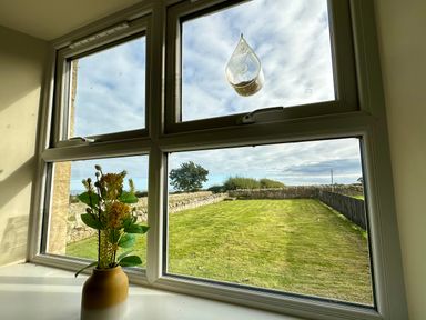 A window with a vase of flowers on the windowsill and a grassy yard with stone walls outside at Garden Cottage in Alnmouth
