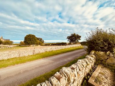 A country road with stone walls trees and a house in the distance at Garden Cottage in Alnmouth