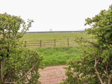 A view of a grass field with a wooden fence and bushes in the foreground at Lonnon Cottage in Alnmouth