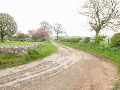 A country road lined with grass trees and stone walls at Lonnon Cottage in Alnmouth