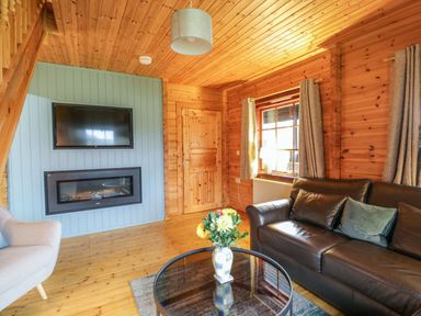 A living room with a leather sofa a glass coffee table with flowers a wall-mounted tv and fireplace at Moyle Lodge in Dalbeattie