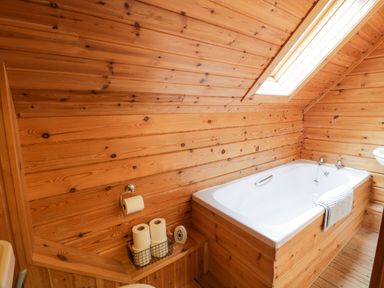 A bathroom with a bathtub under a skylight and wooden walls at Moyle Lodge in Dalbeattie
