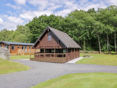 A gravel driveway leading to a wooden cabin with a deck and a picnic table on the grass near a forest at Moyle Lodge in Dalbeattie