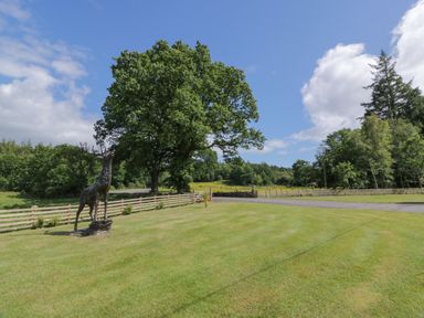 A grassy yard with a deer statue a wooden fence and trees at Moyle Lodge in Dalbeattie
