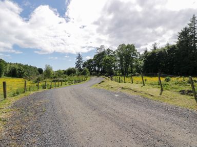 A gravel road passing through fenced grassy fields with trees in the background at Moyle Lodge in Dalbeattie