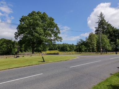 A road with a grassy area and wooden fences with trees in the background at Moyle Lodge in Dalbeattie
