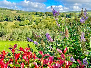 Green fields and dense trees with purple flowers and red leaves in the foreground under a partly cloudy sky at The View in Cardinham