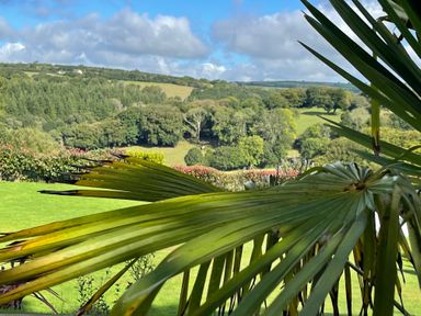 A view of rolling green hills and trees with large palm leaves in the foreground at The View in Cardinham