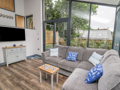 A living room with a gray sofa and blue patterned cushions a small wooden table and a wall-mounted TV at The Nest Brython in Tenby