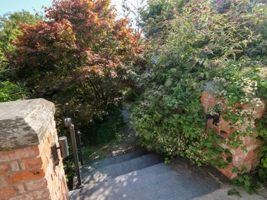 A staircase leading down surrounded by plants at The Nest Brython Tenby