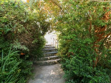 A garden pathway leading to steps at Cornerstones Brython in Tenby