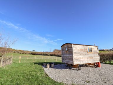 A wooden wagon on wheels near a fire pit with log stools in an open grassy field at Cariad Bach in Gwaenysgor near Prestatyn