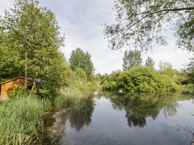 A pond surrounded by trees and bushes with a wooden shed on the left side at Kingfisher in Dunchurch