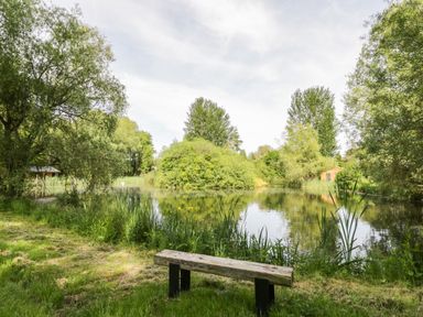 A wooden bench by a pond surrounded by trees and greenery at Kingfisher in Dunchurch