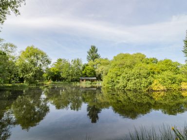 A pond surrounded by trees with a small wooden structure at Kingfisher in Dunchurch