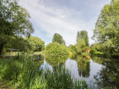 A pond surrounded by trees and bushes with a small wooden shed in the background at Kingfisher in Dunchurch