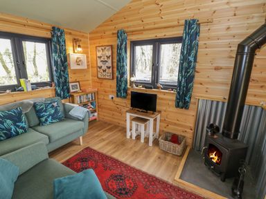A wooden living room with a green sofa a red rug a small TV a wood-burning stove and blue patterned curtains at Kingfisher in Dunchurch