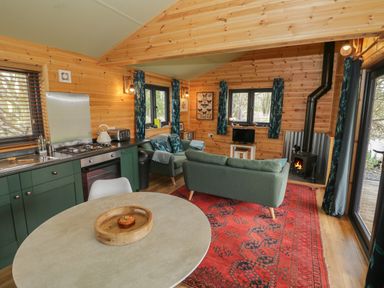 A living area with green kitchen cabinets a round dining table green sofas a red rug and a wood stove at Kingfisher in Dunchurch