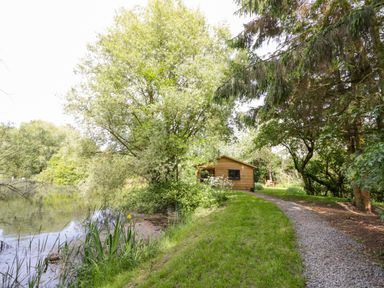 A wooden cabin near a pond with trees and a gravel path at Willow in Dunchurch