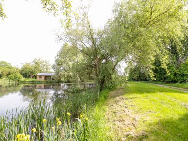 A pond with yellow flowers and a small wooden building surrounded by trees and grass at Willow in Dunchurch